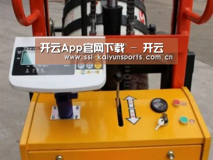 开云体育下载案例展示三