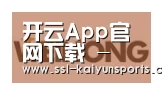 开云体育下载合作伙伴三